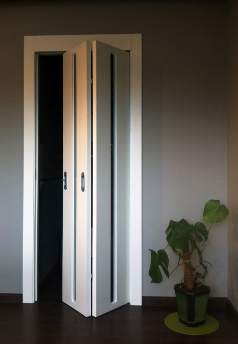 Двери Софья Фото